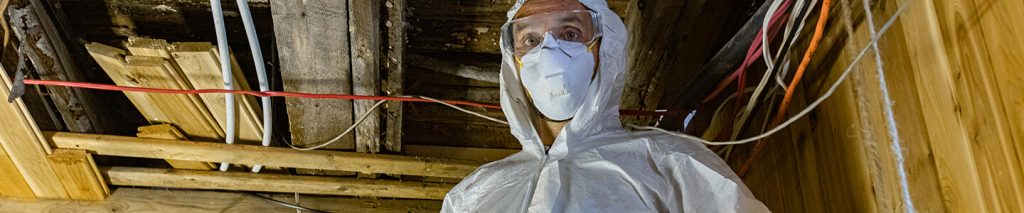 Hiring Mold Inspector in Houston TX | Blog | Paradigm Inspections